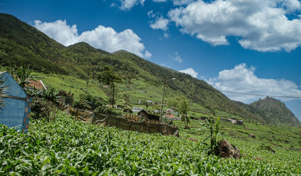 BLOG PESSOAL E SOBRE A ILHA DE SÃO NICOLAU: FUTEBOL SÃO NICOLAU