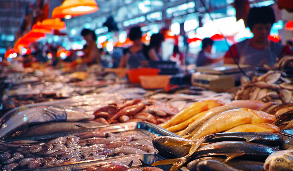 6-mercado-de-peixe-mindelo-ilha-de-sao-vicente.jpg