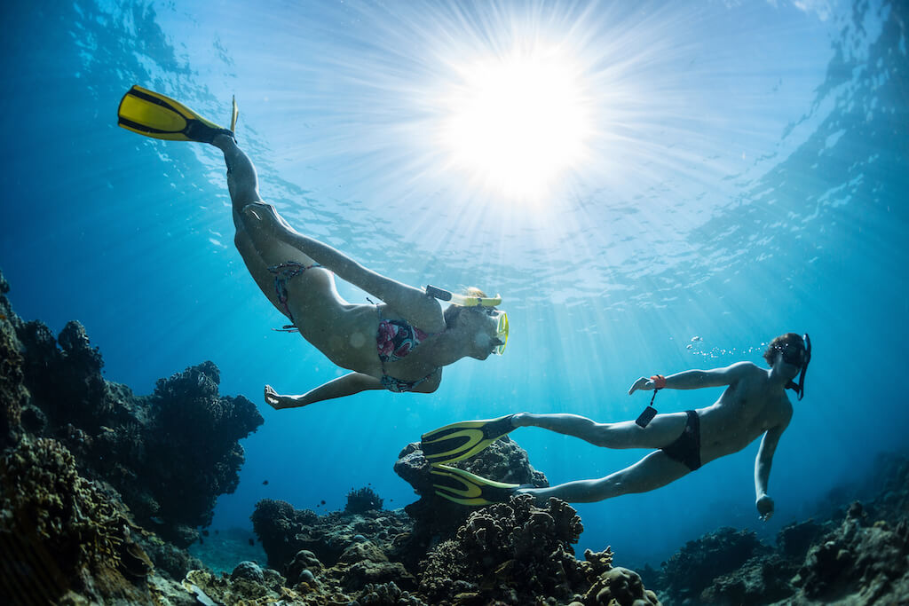 snorkeling.jpg